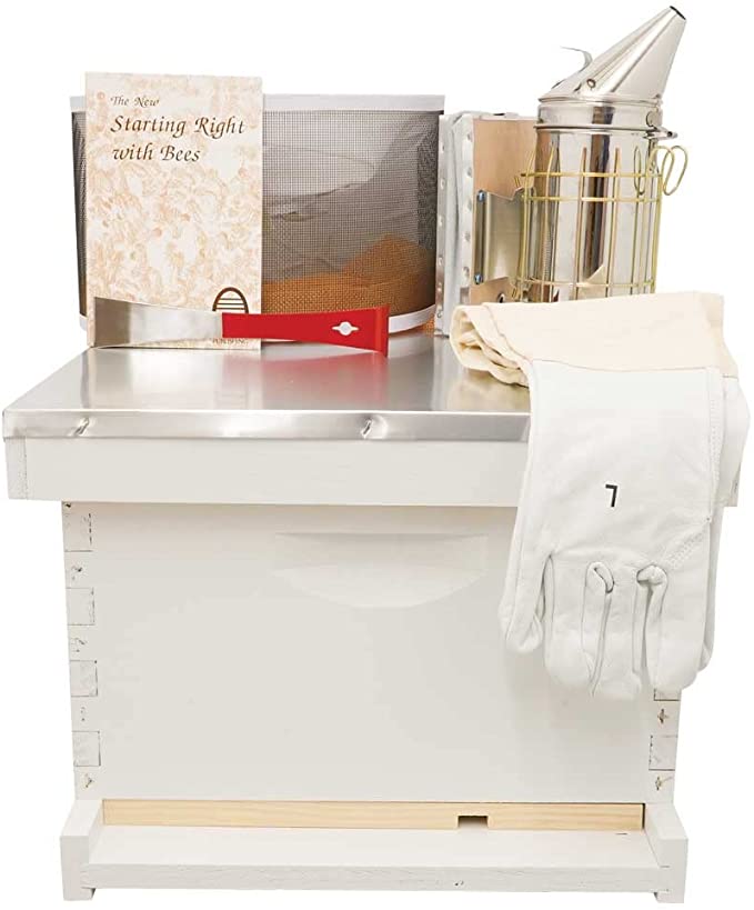 Beekeeping Starter Kit