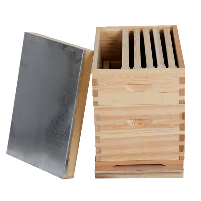 Australis beehive