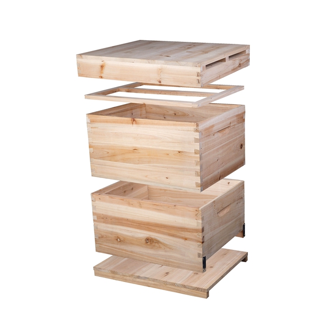 China Beehive