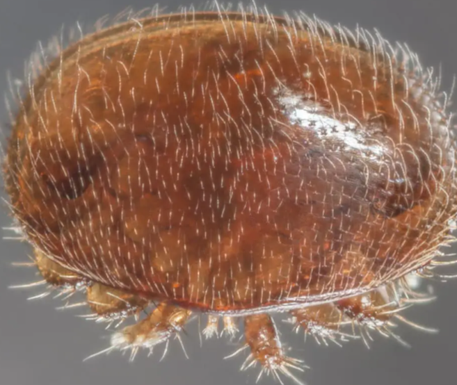 1657189478942 1657189478942